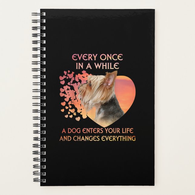 Every Once In A While A Dog Enters (Devant)