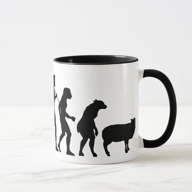 Évolution de la tasse des masses (Droite)