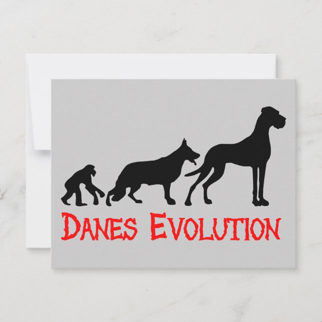 Évolution des Danois (Devant)