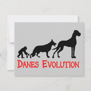 Évolution des Danois