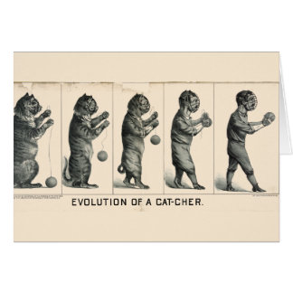 Évolution d'un receveur