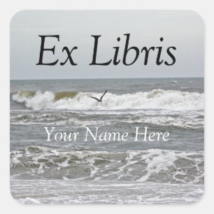 Ex Libris - Sticker Surf et goéland