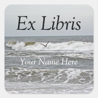 Ex Libris - Sticker Surf et goéland
