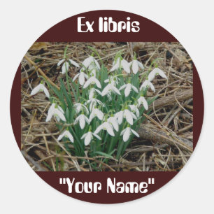 Ex libris Stickers Snowdrops