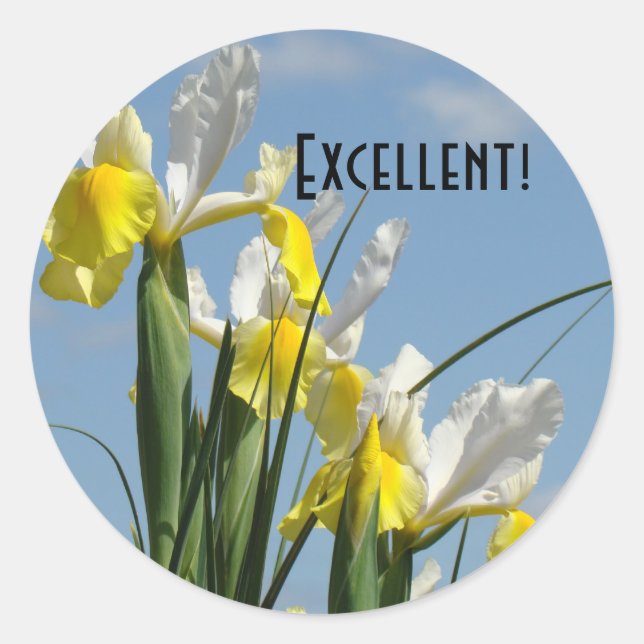Excellente ! autocollants Ciel Bleu Iris Jaune Fle (Devant)
