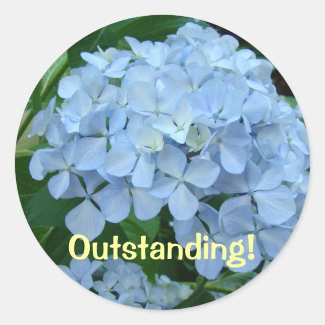 Exceptionnel ! autocollants Fleurs d'hortensia ble (Devant)