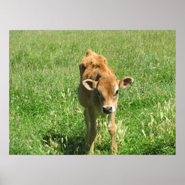 Exceptionnel Dans son champ Photo Impression (Devant)