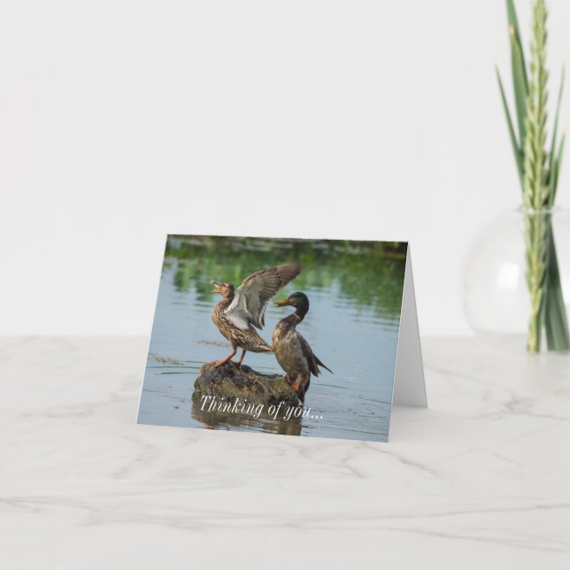 Excusez-moi de penser à votre carte (Devant)