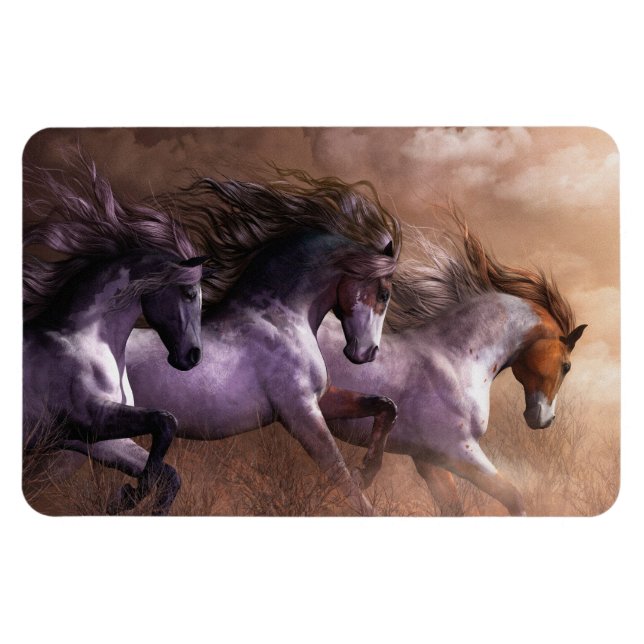 Exécuter vers Freedom Premium Flexi Magnet (Horizontal)