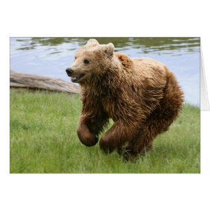 Exécution Brown de l'ours