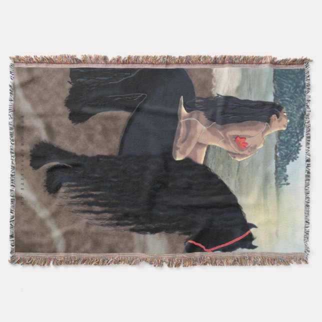 Exécution - Couverture / Décor Mur (Devant)