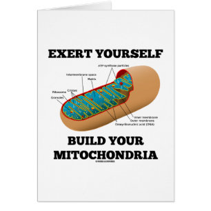 Exercez-vous construction vos mitochondries