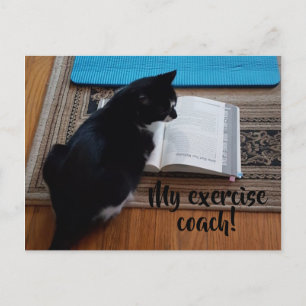Exercice Cute Cat Entraînez Votre Texte Cartes Pos