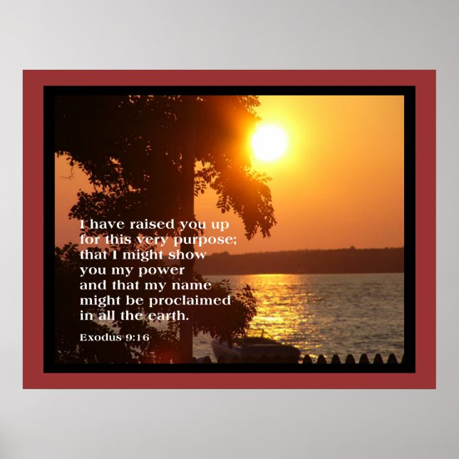 EXOdus 9:16 GRAND POSTER (Devant)