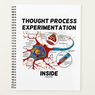 Expérimentation du processus de réflexion à l'inté