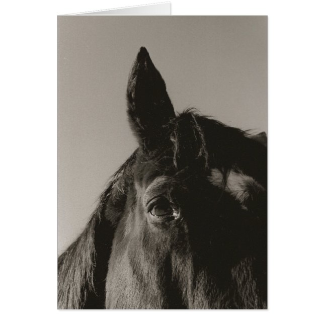 Expression (Devant)