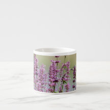 Tasse de café express de colibri et de fleur