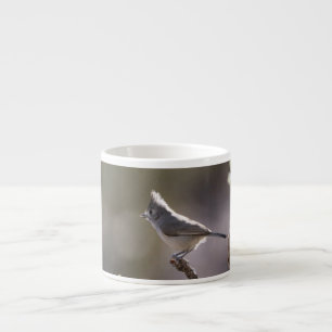 Expresso Tasse de café express de mésange de genévrier