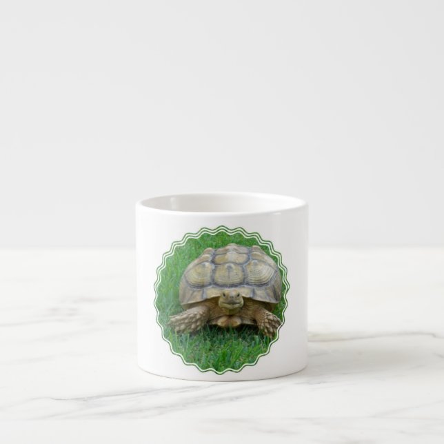 Expresso Tasse de spécialité de tortue (Devant)