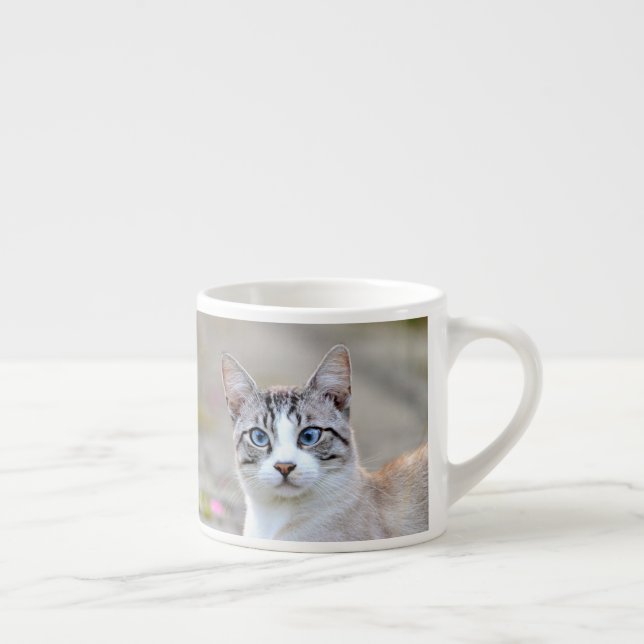 Expresso tasse espresso Photo chat animal de compagnie. (Droite)