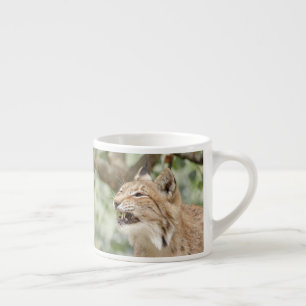 Expresso tasse espresso Photo lynx cat. espresso tasse
