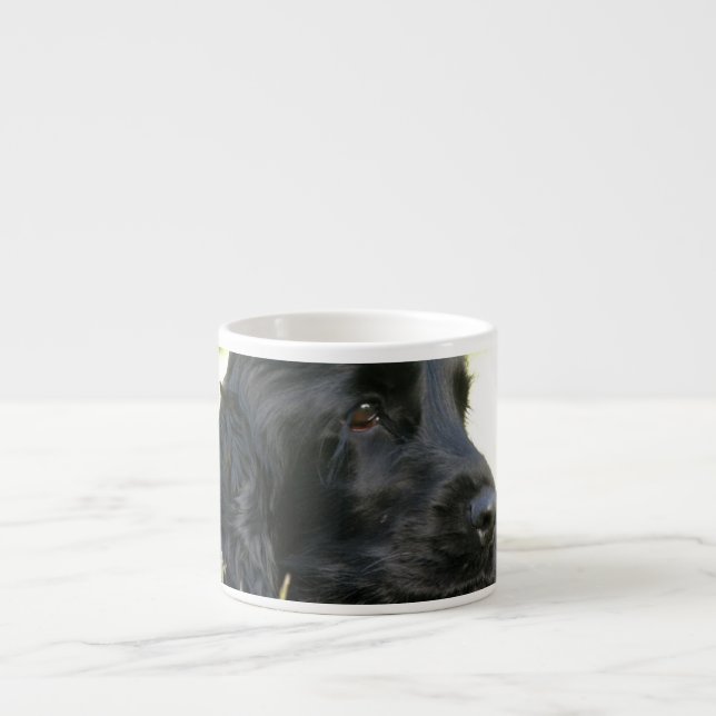 Expresso Tasse noire de spécialité de chien de cocker (Devant)