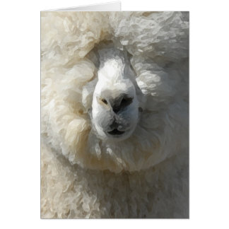 Extraordinaire Gandalf l'alpaca