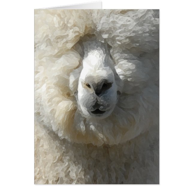 Extraordinaire Gandalf l'alpaca (Devant)