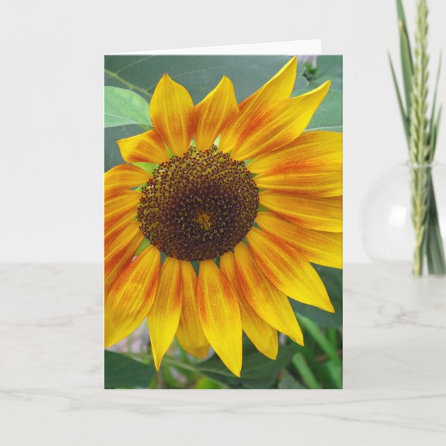 Extrémité de carte de tournesol d'été (Devant)