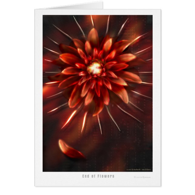 Extrémité des fleurs - carte (Devant)