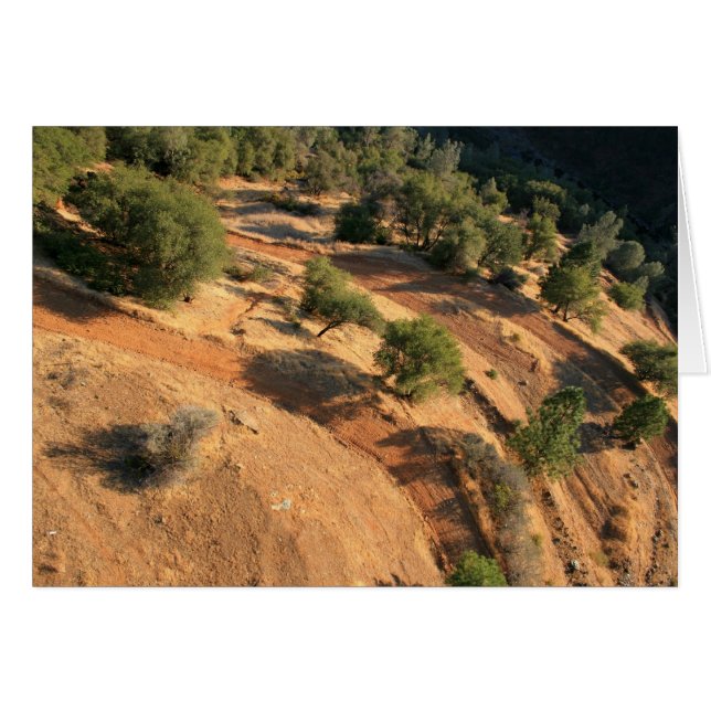 EyeYeW d'AgLe (Devant horizontal)