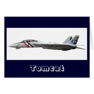 F14, Tomcat