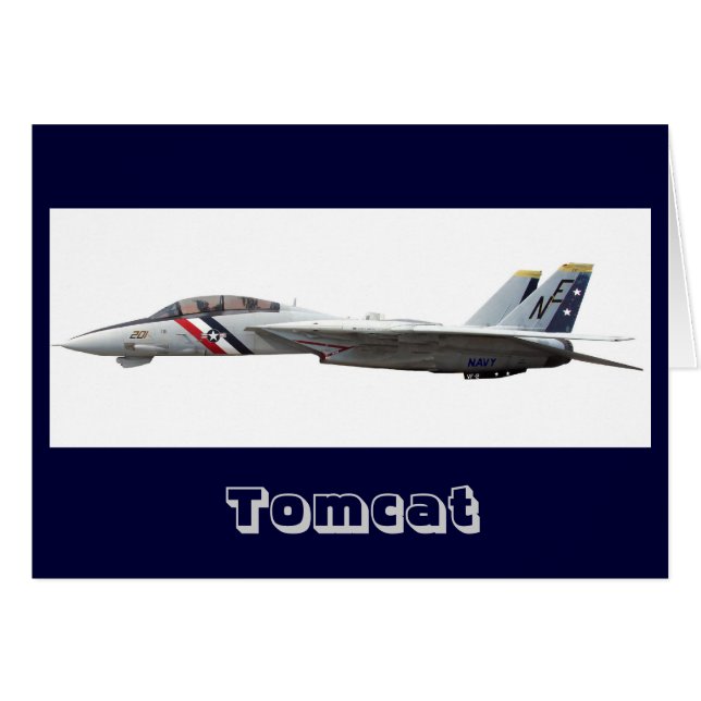 F14, Tomcat (Devant Horizontal)