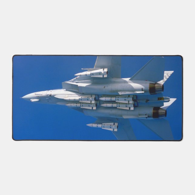 F-14 TOMCAT (Recto)