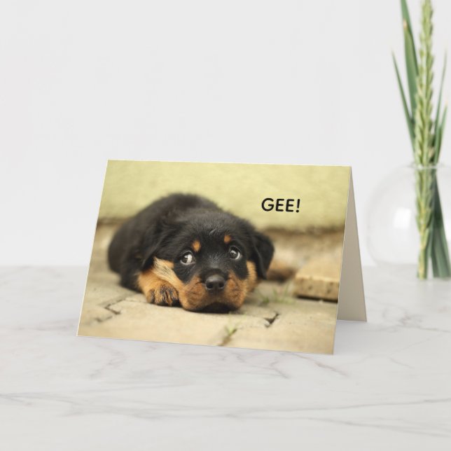 FACE DOUCE OBTENIR UNE CARTE DE BIEN (Devant)