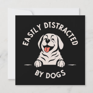 Facilement distrait par les chiens