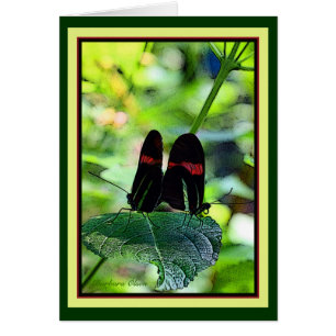 Facteur rouge : papillon