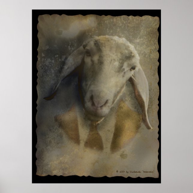 Facture - Poster (Devant)