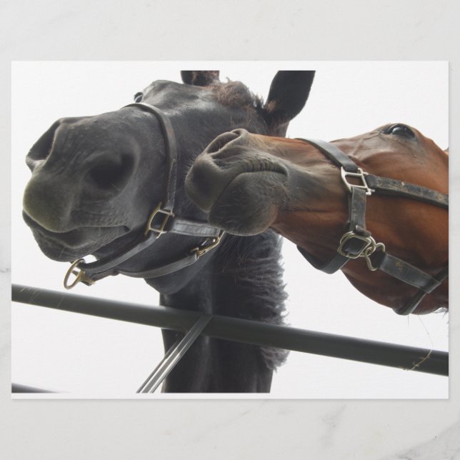 Faire du cheval autour (Devant)