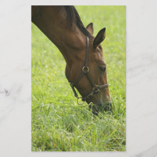 Faire du cheval autour