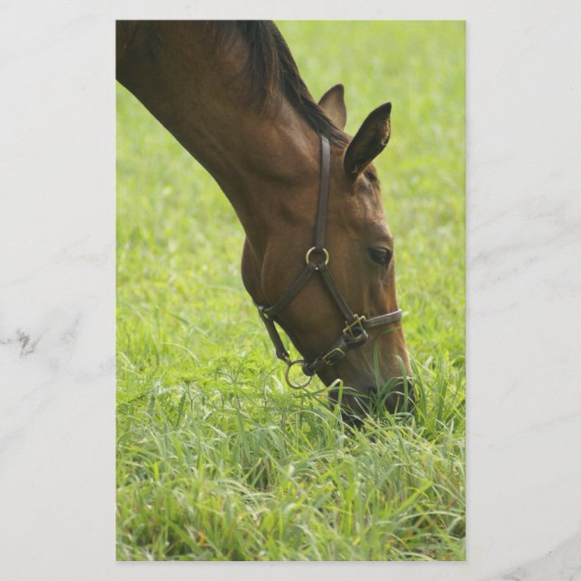 Faire du cheval autour (Devant)