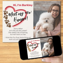 Adoption d'un nouvel animal