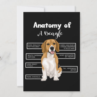 Faire-part Anatomy Of A Beagle Funny Dog Lovers