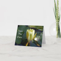 Annonce de Mise à Jour de Date