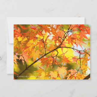 Faire-part Autumn Leaves [Flat Card]