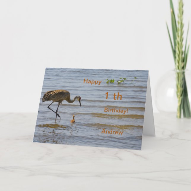 Faire-part Bébé mignon dans le lac Joyeux 1er anniversaire (Devant)