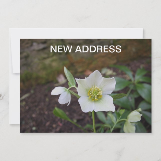 Faire-part Belle Fleur de printemps Nouvelle adresse (Devant)