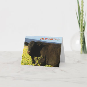 Faire-part Black Bull en fleurs - Changement d'adresse de l'O