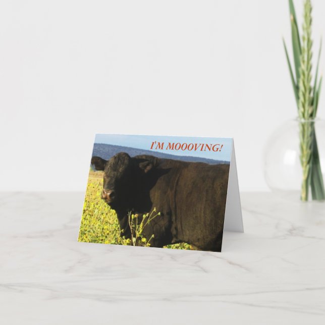 Faire-part Black Bull en fleurs - Changement d'adresse de l'O (Devant)