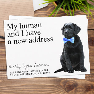 Faire-part Black Lab Chien Moving